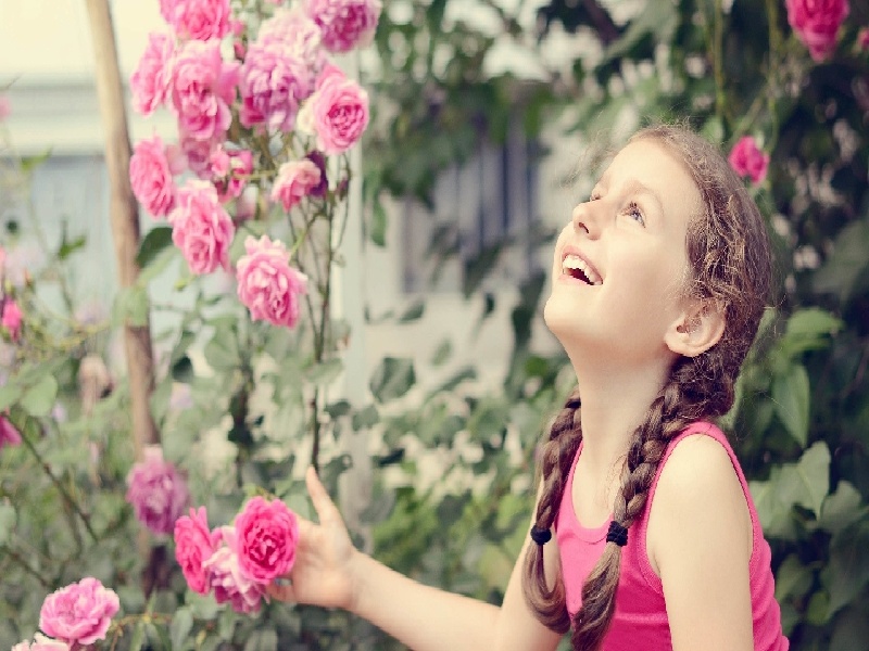 国内最靠谱的代生,代生咨询：在国内公立医院可